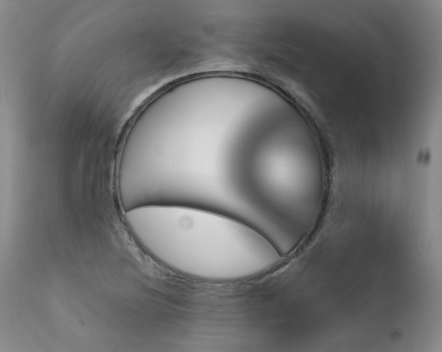 X0000111931220200907271305