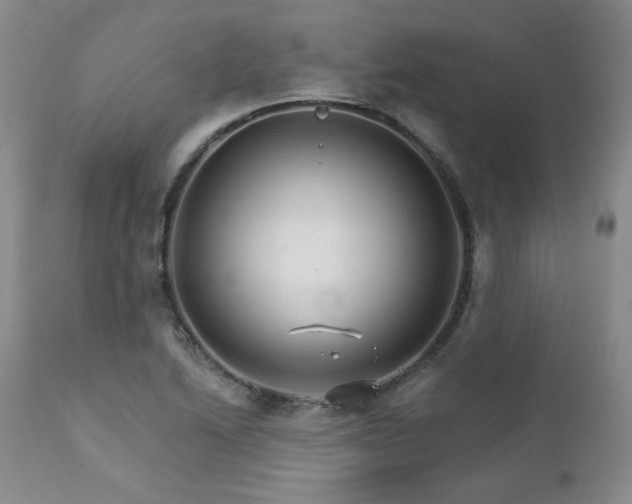 X0000111931222200907271305