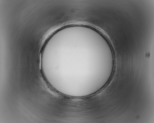X0000111931223200907271305