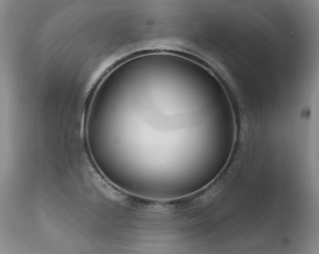 X0000111931224200907271305