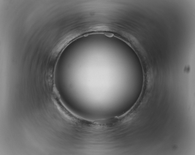 X0000111931225200907271305