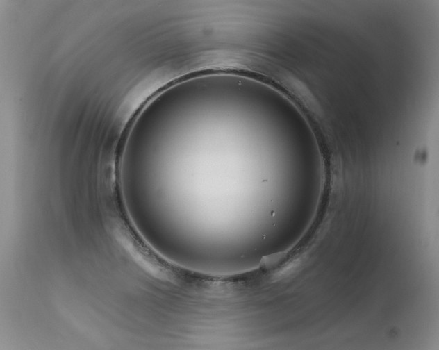 X0000111931226200907271305