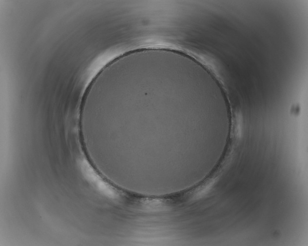 X0000111931231200907271305