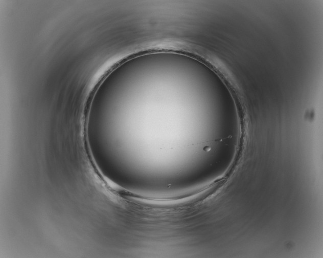 X0000111931232200907271305