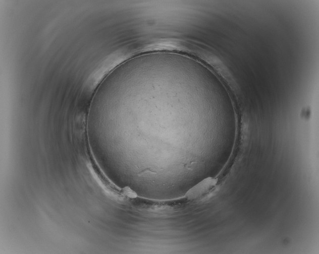 X0000111931233200907271305