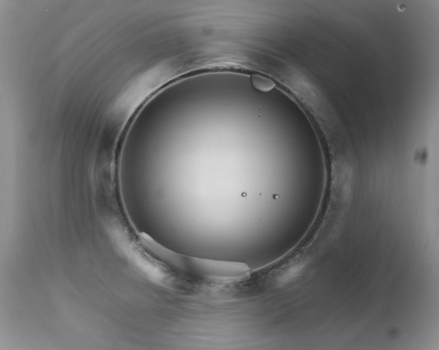 X0000111931234200907271305