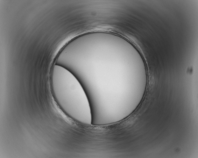 X0000111931235200907271305