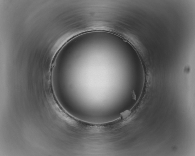 X0000111931236200907271305