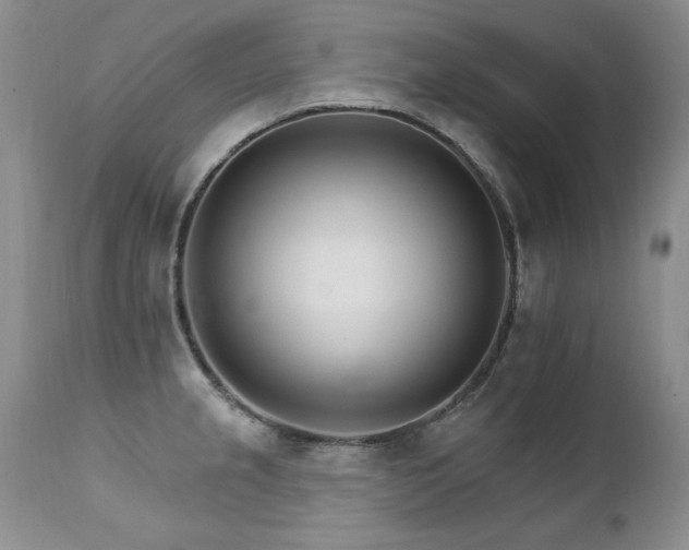 X0000111931237200907271305