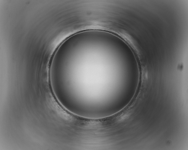 X0000111931238200907271305