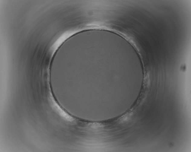 X0000111931239200907271305
