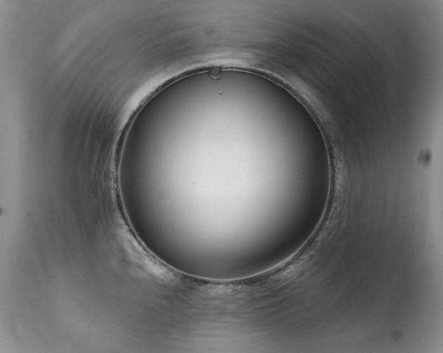 X0000111931240200907271305
