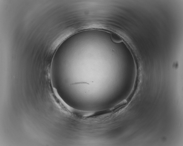 X0000111931241200907271305