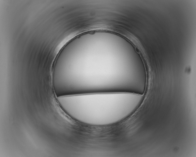 X0000111931242200907271305