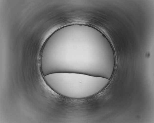 X0000111931243200907271305