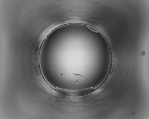 X0000111931244200907271305