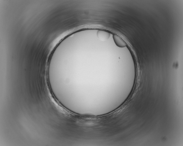 X0000111931245200907271305