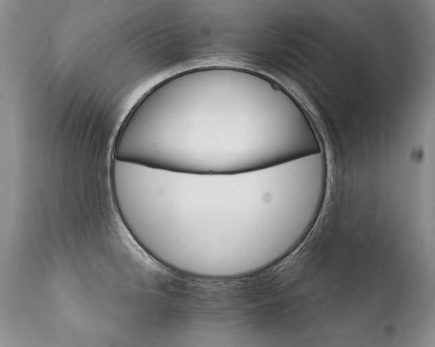 X0000111931246200907271305