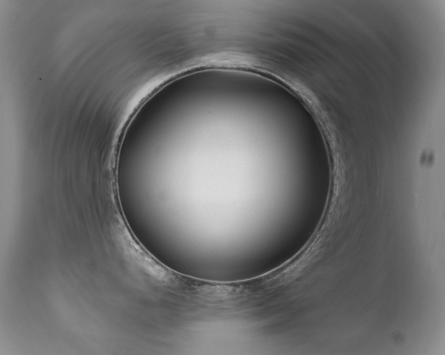 X0000111931248200907271305