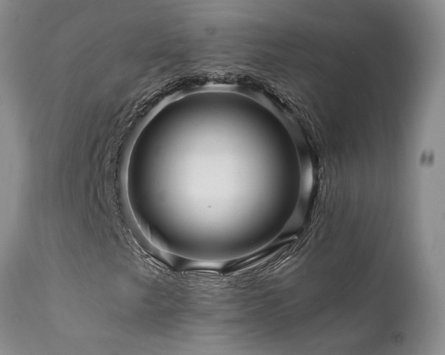 X0000111931249200907271305