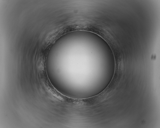 X0000111931250200907271305