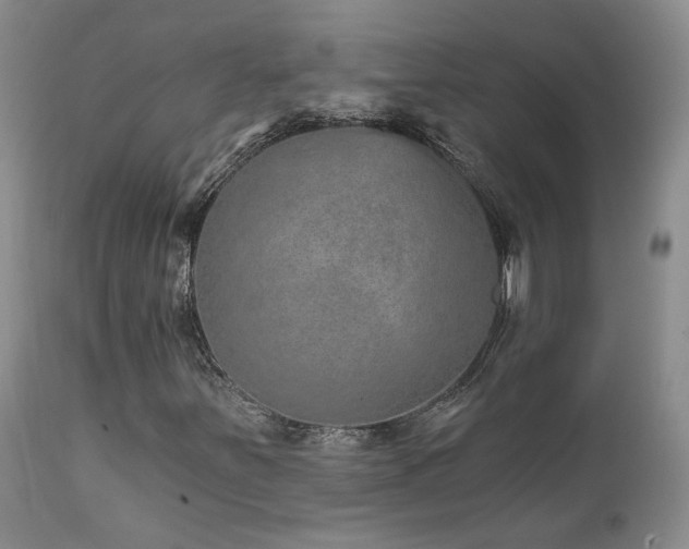 X0000111931251200907271305