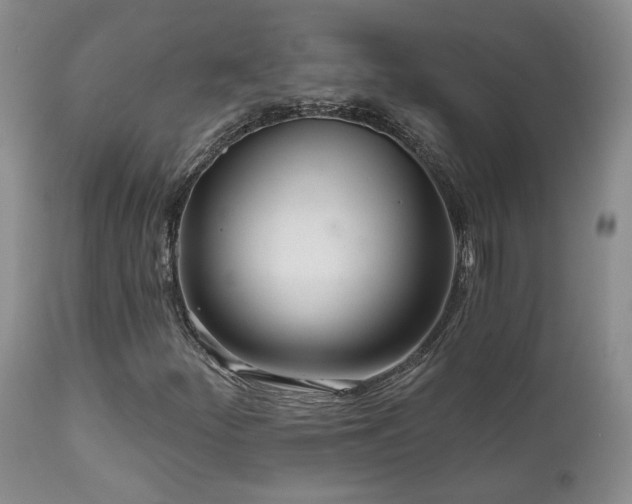 X0000111931252200907271305
