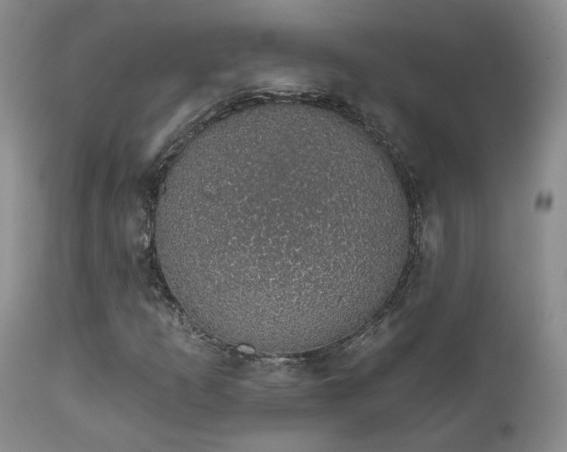 X0000111931253200907271305