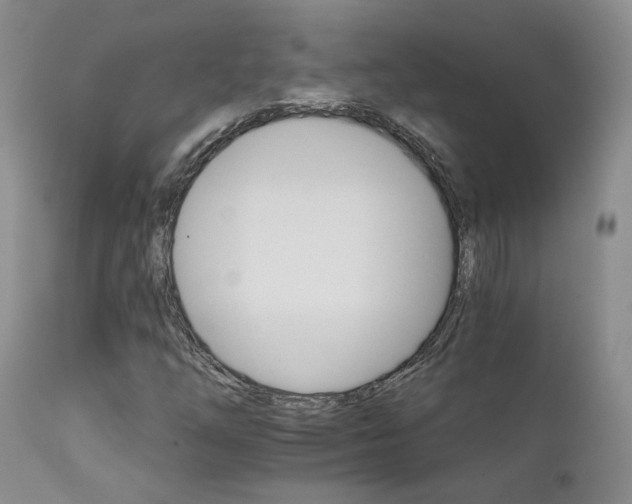 X0000111931254200907271305