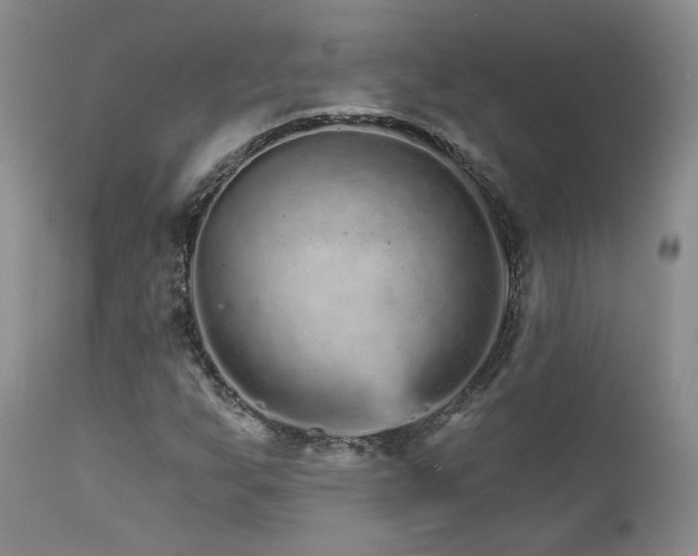 X0000111931255200907271305