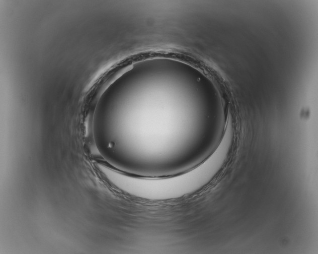 X0000111931256200907271305