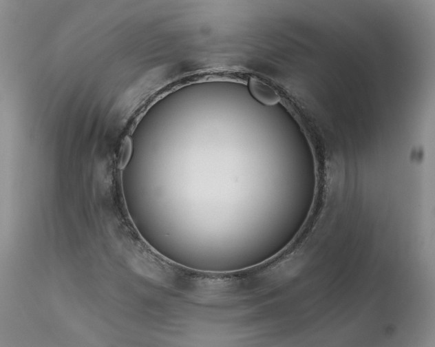 X0000111931257200907271304