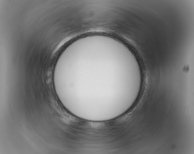 X0000111931258200907271304