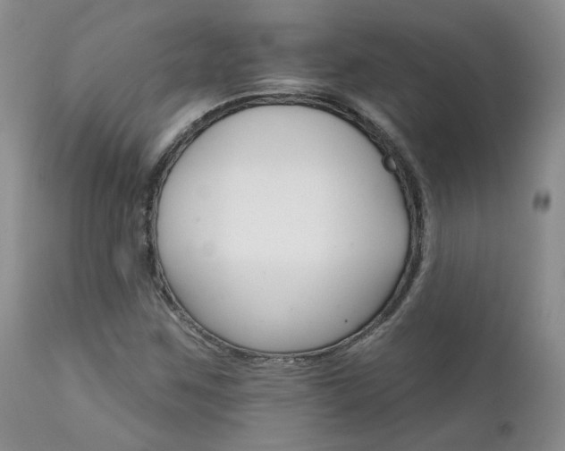 X0000111931259200907271304