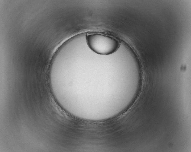 X0000111931260200907271304