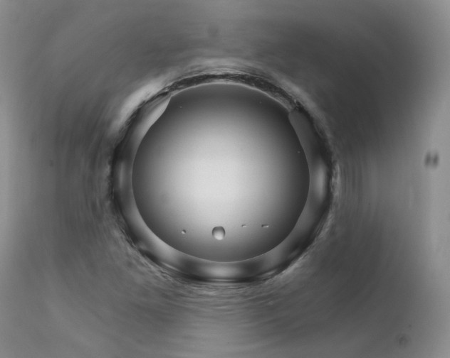 X0000111931261200907271304