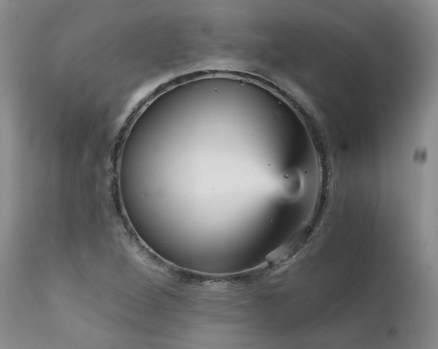 X0000111931264200907271304
