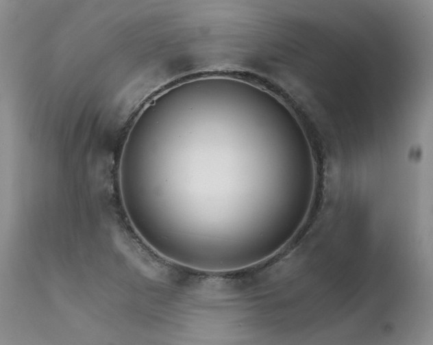 X0000111931265200907271304