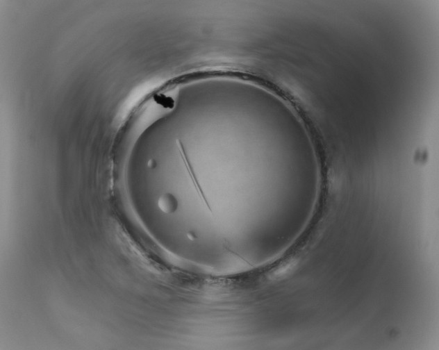 X0000111931267200907271304