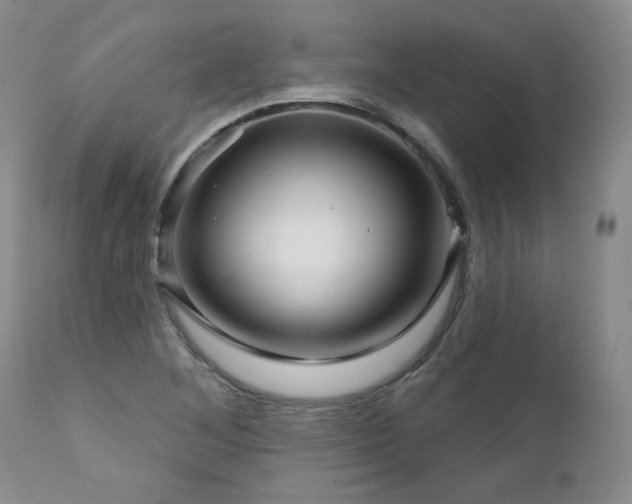 X0000111931268200907271304