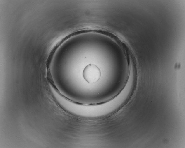 X0000111931269200907271304