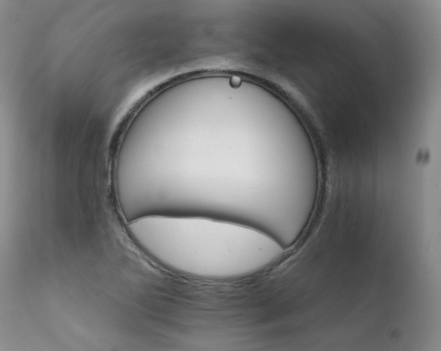 X0000111931270200907271304