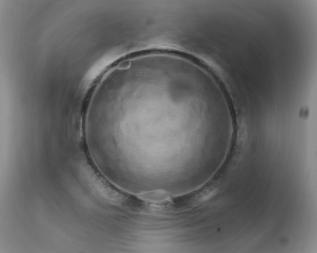 X0000111931271200907271304