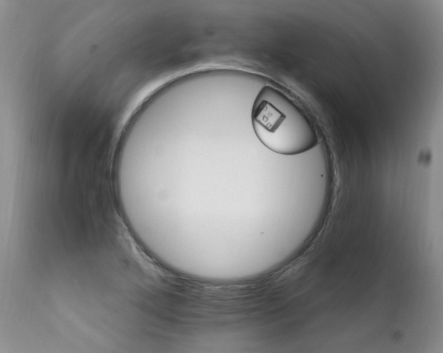 X0000111931272200907271304