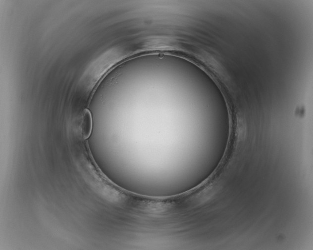 X0000111931273200907271304