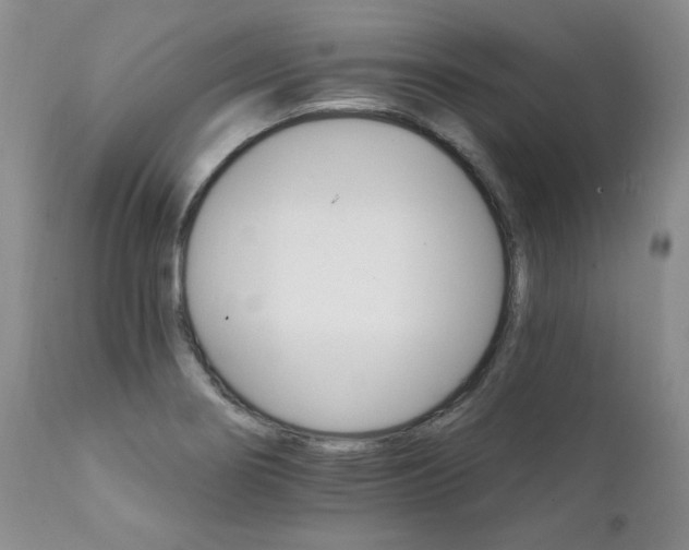 X0000111931274200907271304