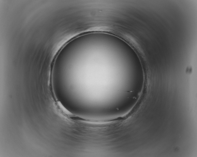 X0000111931276200907271304