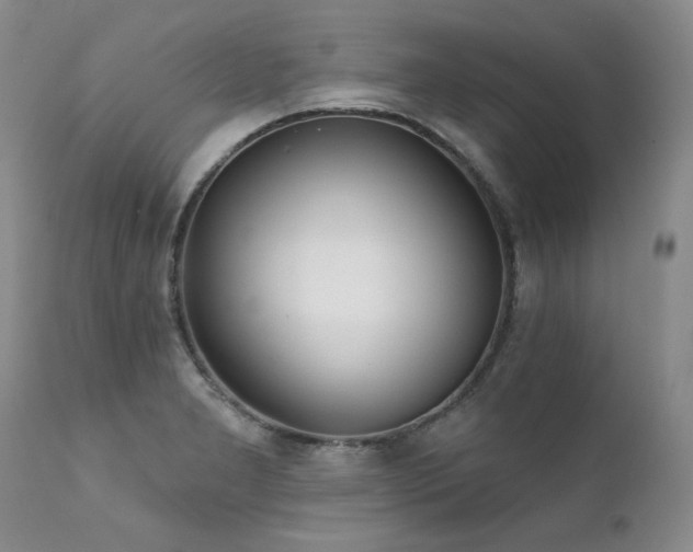 X0000111931277200907271304