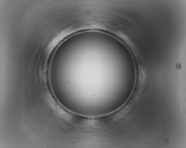 X0000111931278200907271304