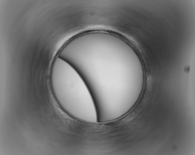 X0000111931279200907271304